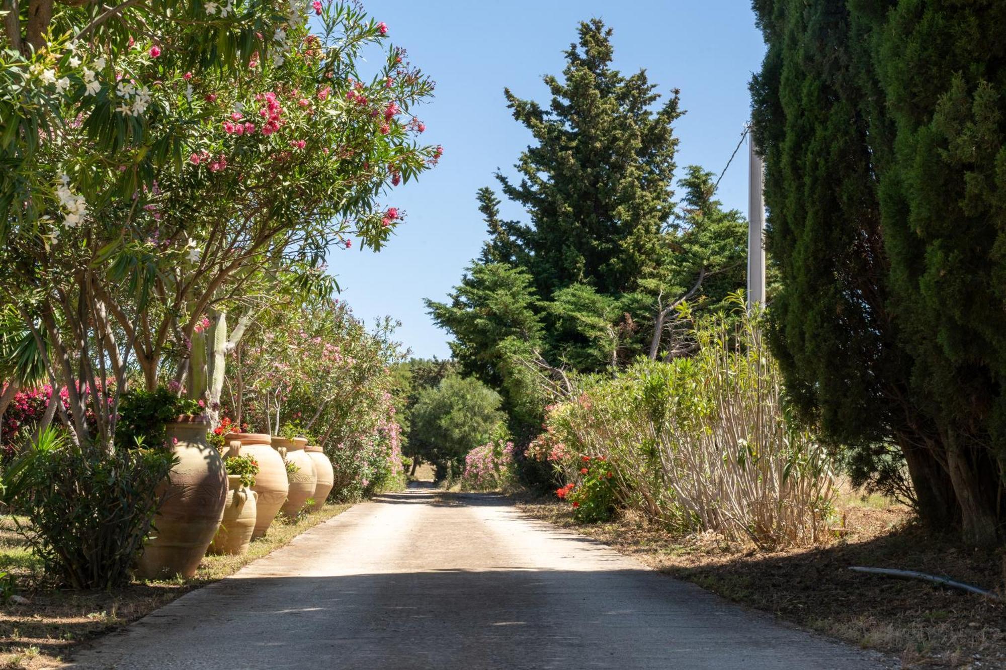Casa Vacanze Verdemare Con Piscina Ribera Εξωτερικό φωτογραφία